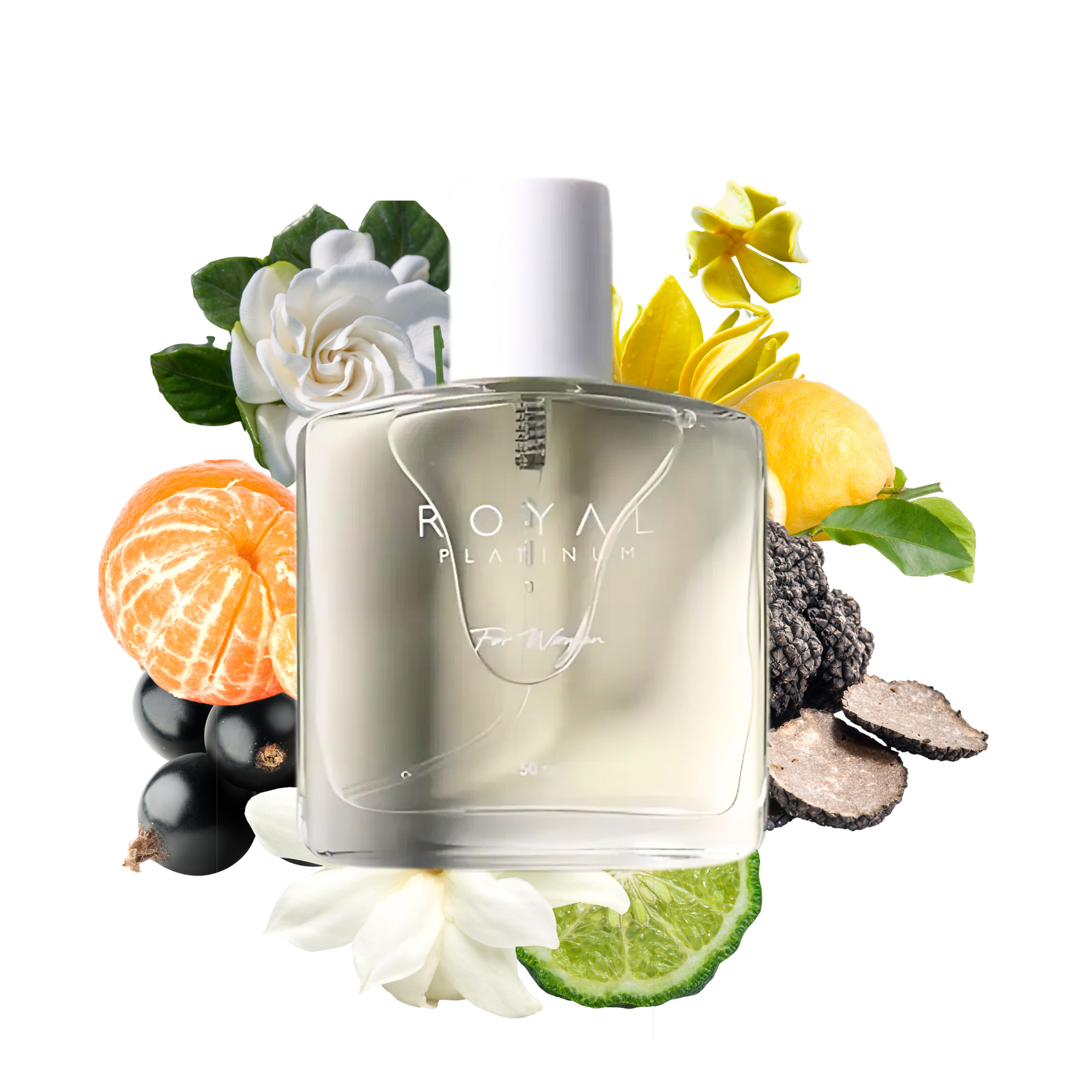 W298 Inspirerad av TOM FORD - BLACK ORCHID 50ml